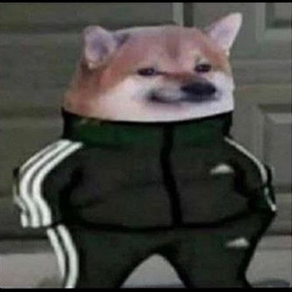 dre_doge
